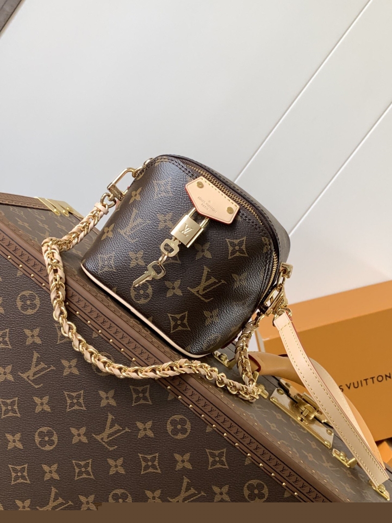LV Satchel bags